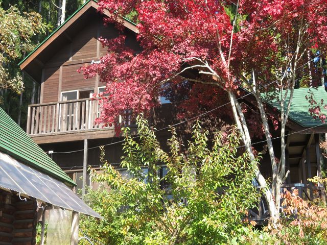 クリックで画像を表示